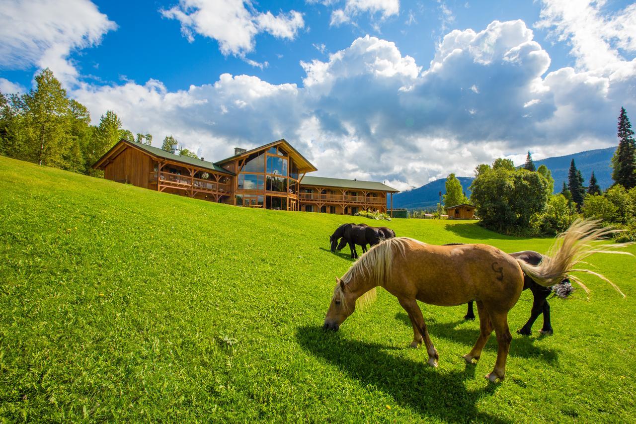 Bear Claw Lodge Kispiox Exteriör bild