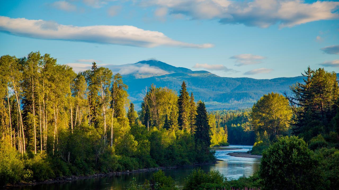 Bear Claw Lodge Kispiox Exteriör bild