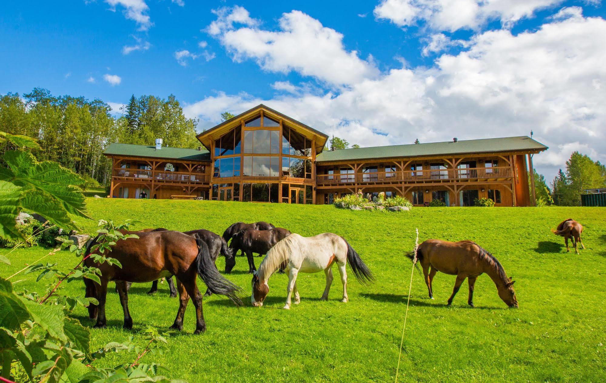 Bear Claw Lodge Kispiox Exteriör bild