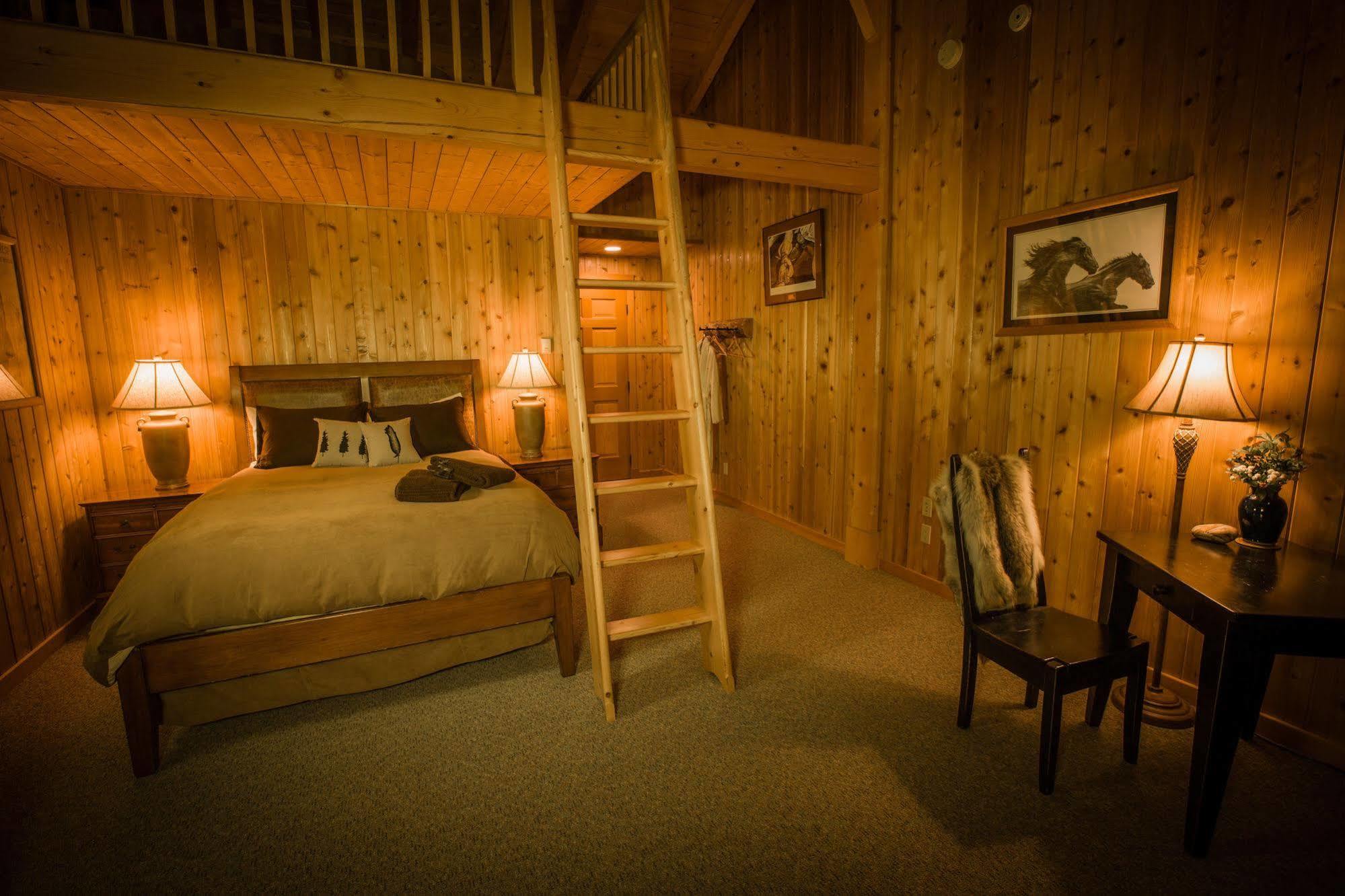 Bear Claw Lodge Kispiox Exteriör bild