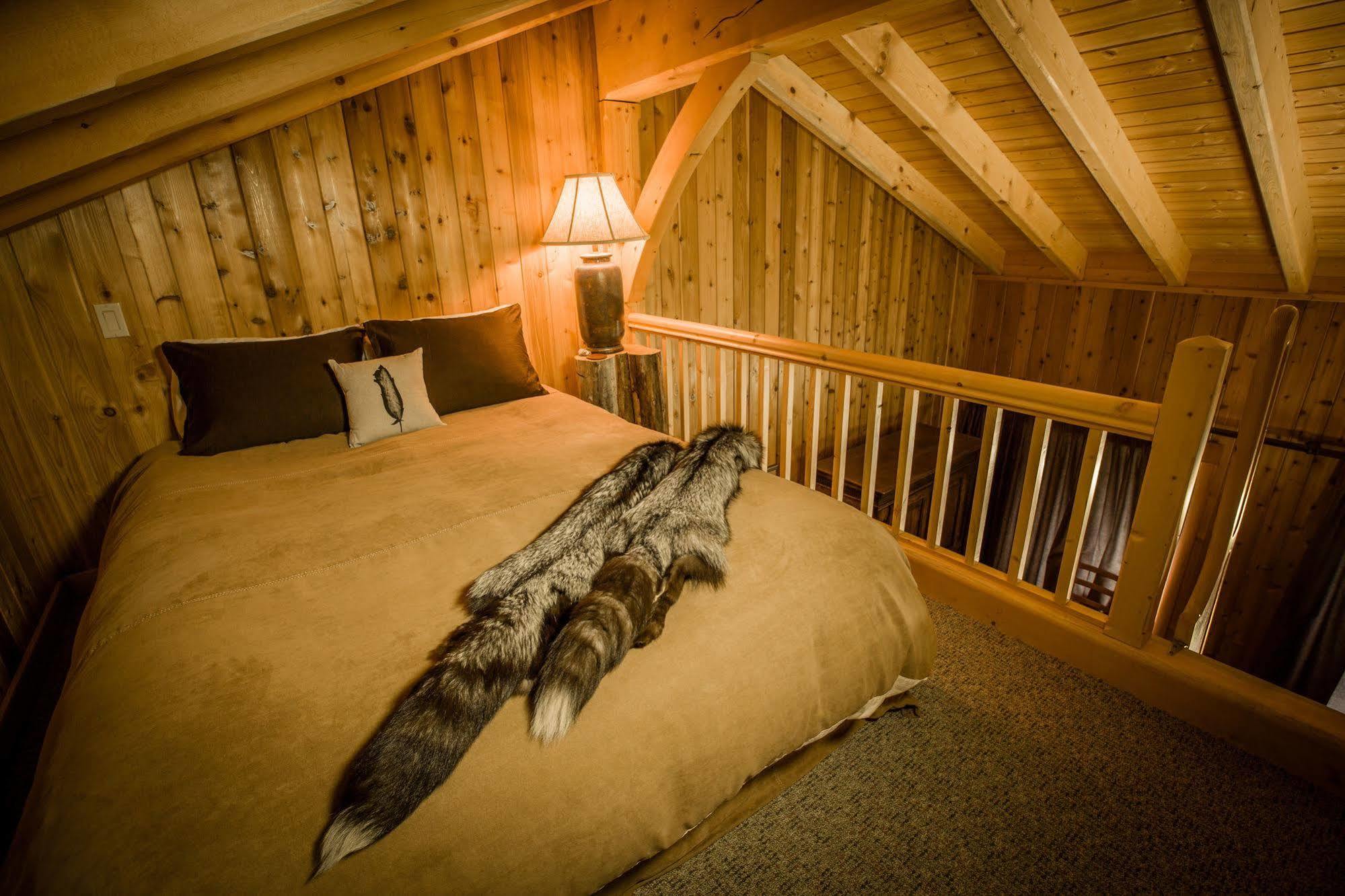 Bear Claw Lodge Kispiox Exteriör bild